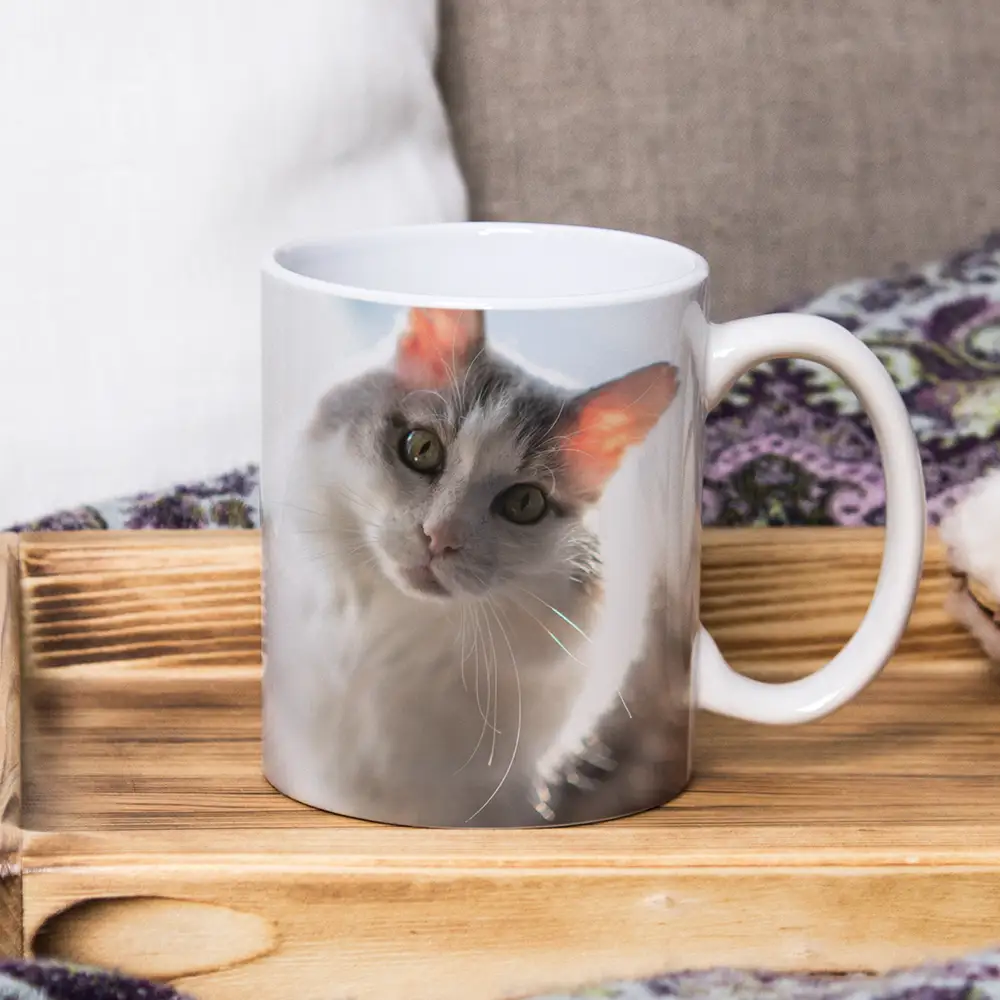 Eigene Fotos und Designs ganz einfach auf unterschiedliche Oberflächen übertragen – via Sublimation.
