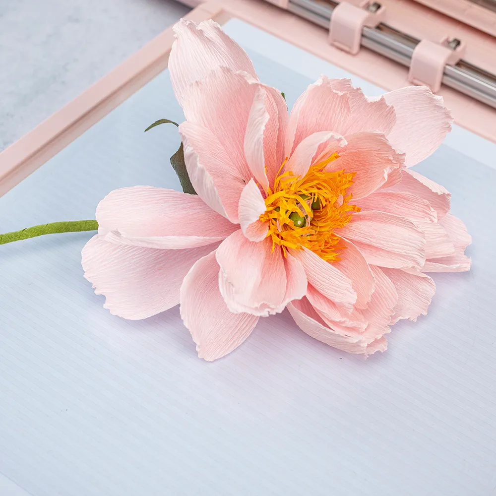 Elektrostatisches Bett SILHOUETTE CAMEO 5 a PLUS