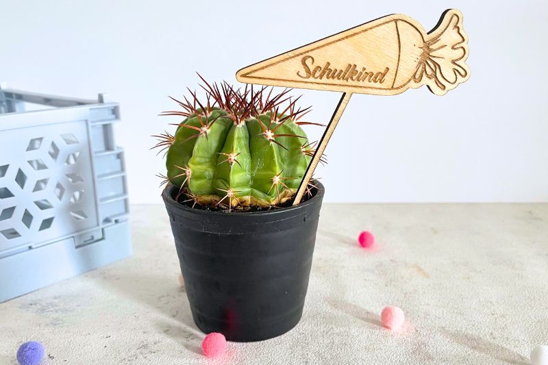 Caketopper gelasert