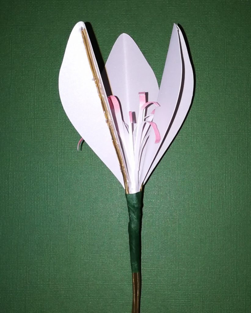 3D Pop-Up Amaryllis Schneekugel Karte – Mit Glitzer, Zum Aufstellen