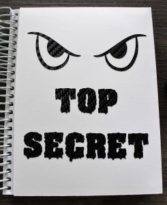 Einsteckhülle - Top Secret